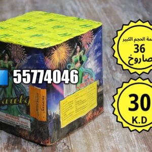 راجمة الحجم الكبير 36 صاروخ
